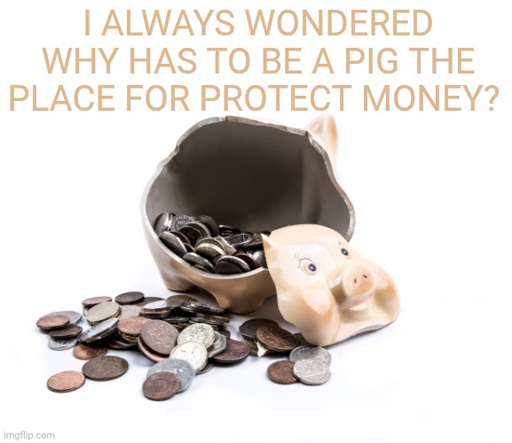 Broken Piggy Bank | I always wondered why has to be a pig the place for protect money? | image tagged in broken piggy bank | made w/ Imgflip meme maker