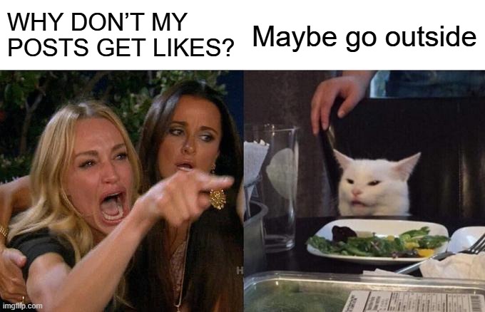 Woman Yelling At Cat | WHY DON’T MY POSTS GET LIKES? Maybe go outside | image tagged in memes,woman yelling at cat | made w/ Imgflip meme maker