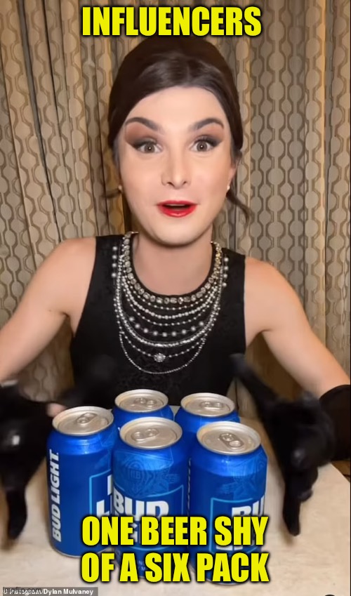 I Don't Often Drink Light Beer | Influencers; One beer shy of a six pack | image tagged in i don't often drink light beer | made w/ Imgflip meme maker