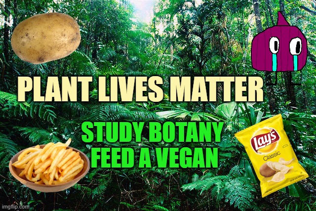 plant lives matter study botany 
feed a vegan | image tagged in tropical_ rainforest | made w/ Imgflip meme maker