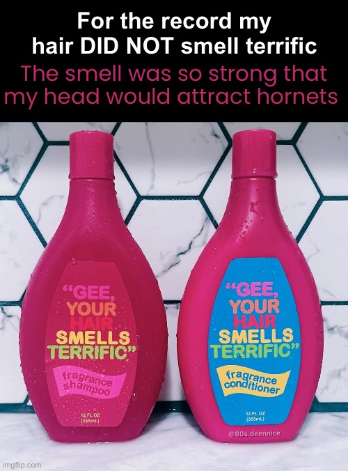 80’s Shampoo | For the record my hair DID NOT smell terrific; The smell was so strong that my head would attract hornets | image tagged in funny memes,80s,gen x,shampoo | made w/ Imgflip meme maker