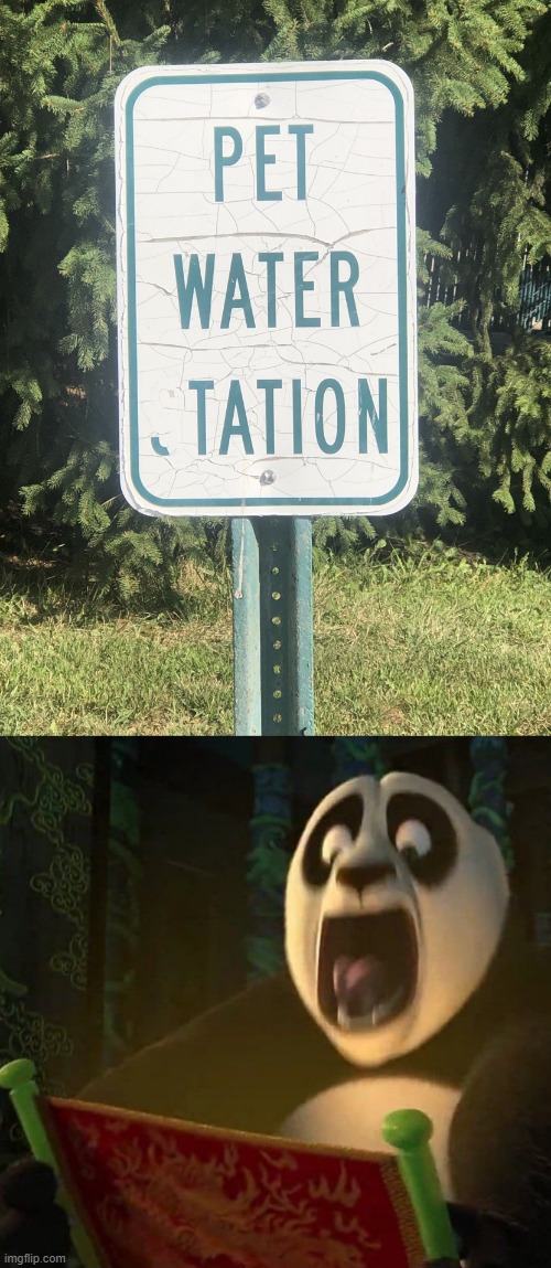 image tagged in pet water sign fail,if the dragon scroll wasn't blank | made w/ Imgflip meme maker