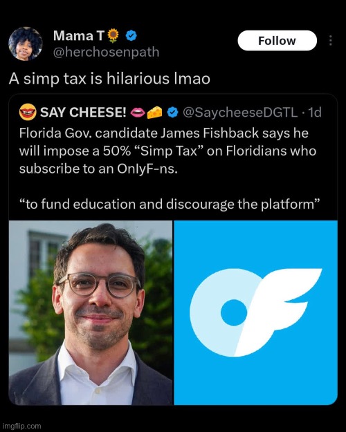 A tax on Simps | image tagged in img_5913 jpeg,tax,florida,meanwhile in florida,florida shooting,simp | made w/ Imgflip meme maker