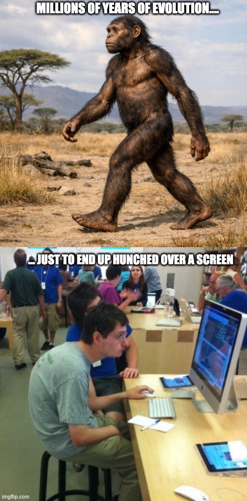 Millions of years of evolution.... ... just to end up hunched over a screen | image tagged in early hominin walking,bad posture | made w/ Imgflip meme maker