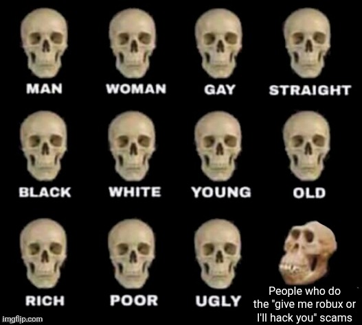 idiot skull | People who do the "give me robux or I'll hack you" scams | image tagged in idiot skull,roblox,robux,scam,hacker | made w/ Imgflip meme maker