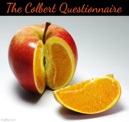 The Colbert questionnaire | The Colbert Questionnaire | image tagged in the colbert questionnaire | made w/ Imgflip meme maker