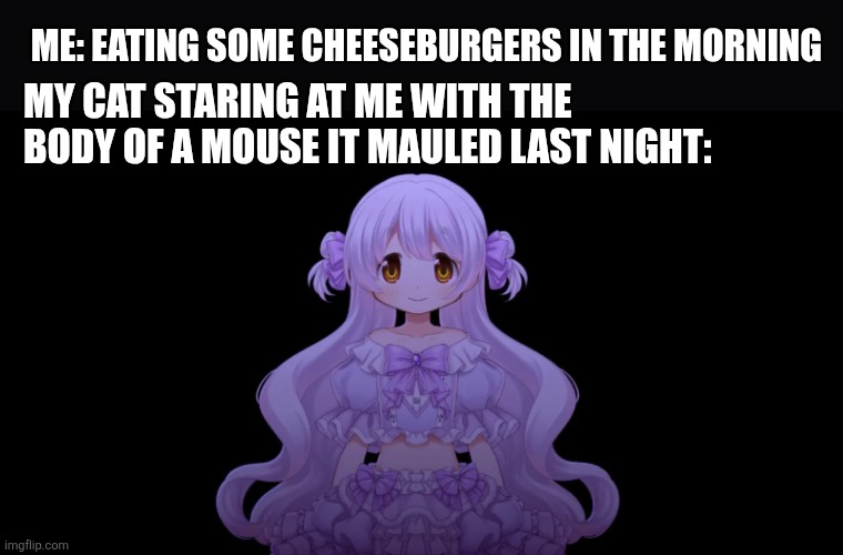 Me: Eating some cheeseburgers in the morning; My cat staring at me with the body of a mouse it mauled last night: | image tagged in memes,mouse,kitty | made w/ Imgflip meme maker
