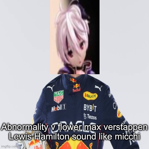max verstappen | Abnormality v flower max verstappen Lewis Hamilton sound like micchi | image tagged in max verstappen | made w/ Imgflip meme maker