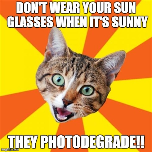 The cat of many bad advises is foolish! | DON'T WEAR YOUR SUN GLASSES WHEN IT'S SUNNY THEY PHOTODEGRADE!! | image tagged in memes,bad advice cat | made w/ Imgflip meme maker