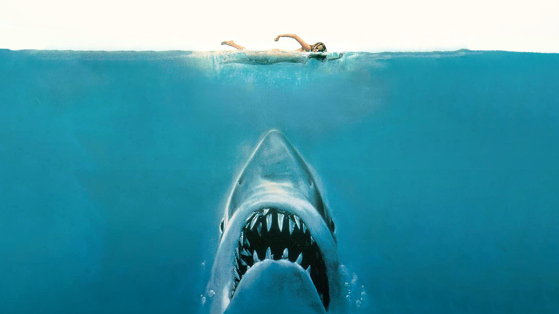Jaws Blank Meme Template