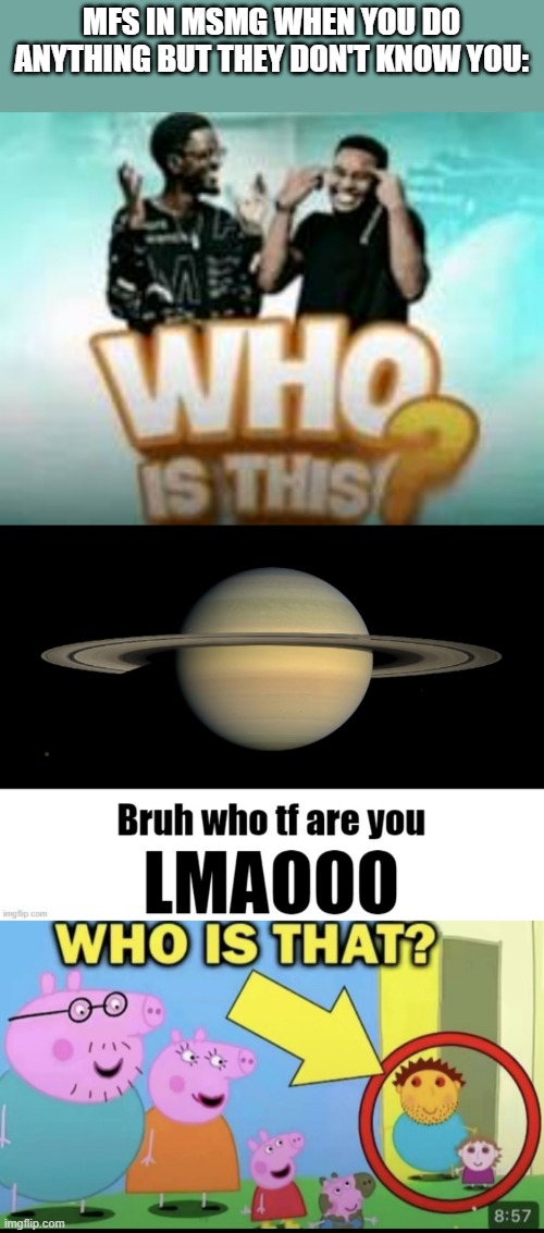 Why do we do this? | mfs in msmg when you do anything but they don't know you: | image tagged in who is this,bruh who tf are you lmaooo,who is that,memes,relatable,msmg | made w/ Imgflip meme maker
