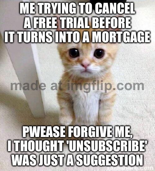 ME TRYING TO CANCEL A FREE TRIAL BEFORE IT TURNS INTO A MORTGAGE | ME TRYING TO CANCEL A FREE TRIAL BEFORE IT TURNS INTO A MORTGAGE; PWEASE FORGIVE ME, I THOUGHT 'UNSUBSCRIBE' WAS JUST A SUGGESTION | image tagged in memes,cute cat,suggestive,cancelled,unsubscribe,subscribe | made w/ Imgflip meme maker