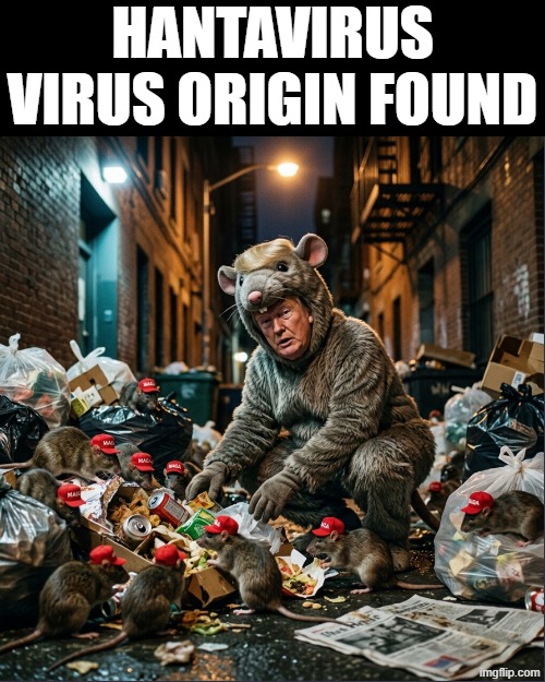 HANTAVIRUS ORIGINS | Hantavirus VIRUS ORIGIN FOUND | image tagged in hantavirus,covid-19,pandemic,virus,disease,political meme | made w/ Imgflip meme maker