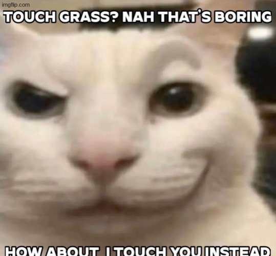 image tagged in touch grass nah that's boring how about i touch you instead | made w/ Imgflip meme maker