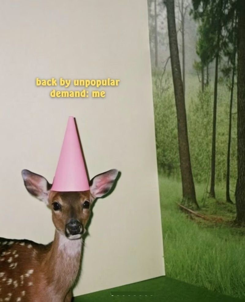 Back by unpopular demand Blank Meme Template