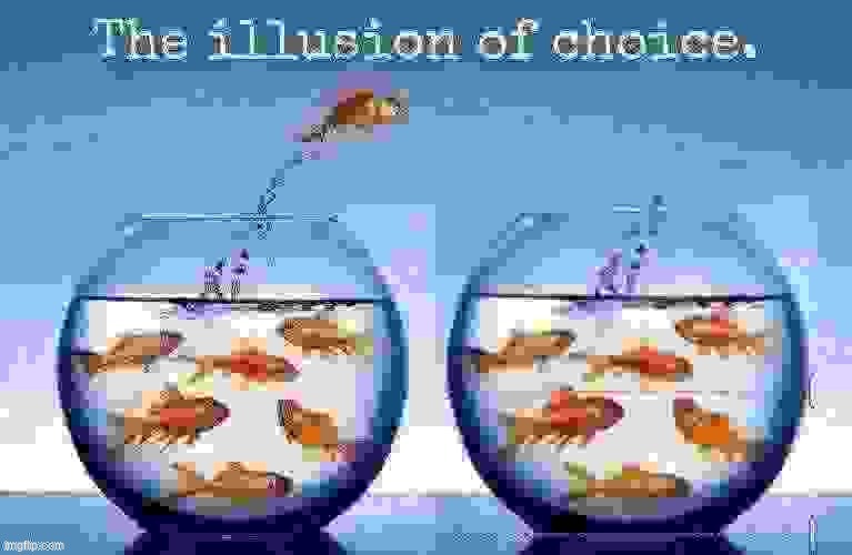 The illusion of choice. | image tagged in the illusion of choice | made w/ Imgflip meme maker