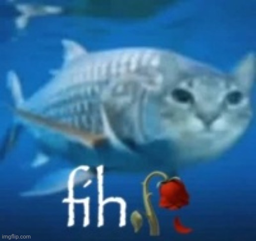 fih | image tagged in fih | made w/ Imgflip meme maker