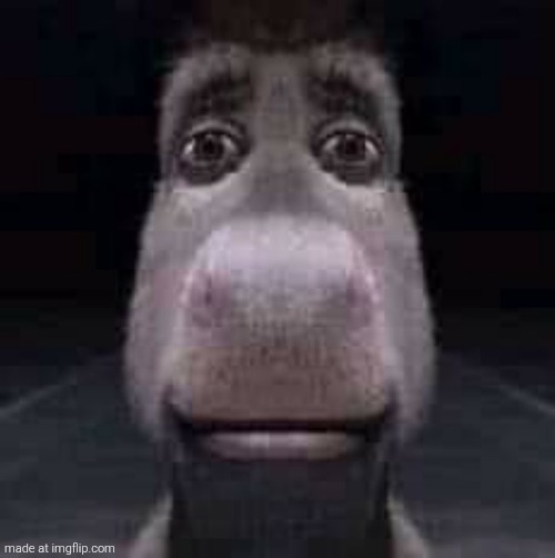 image tagged in donkey staring | made w/ Imgflip meme maker
