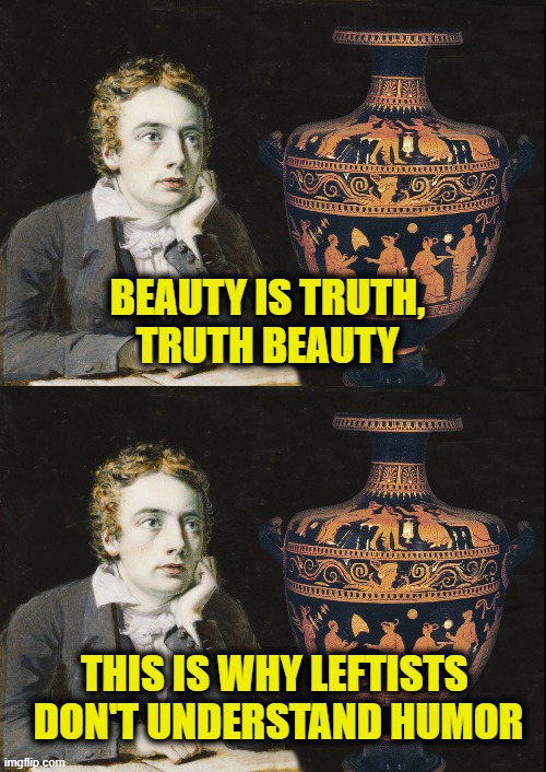 Roaches hate the light | Beauty is truth,
truth beauty; This is why Leftists 
don't understand humor | image tagged in leftists | made w/ Imgflip meme maker