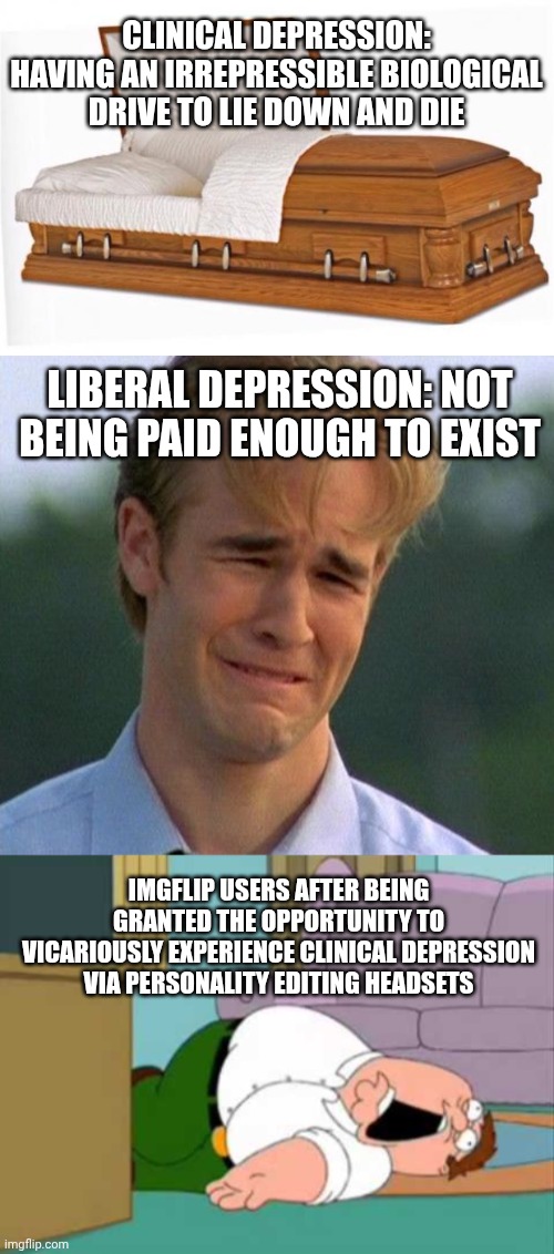 Liberal depression: not being paid enough to exist Imgflip users after being granted the opportunity to vicariously experience clinical depr | image tagged in casket,memes,1990s first world problems,dead peter griffin | made w/ Imgflip meme maker