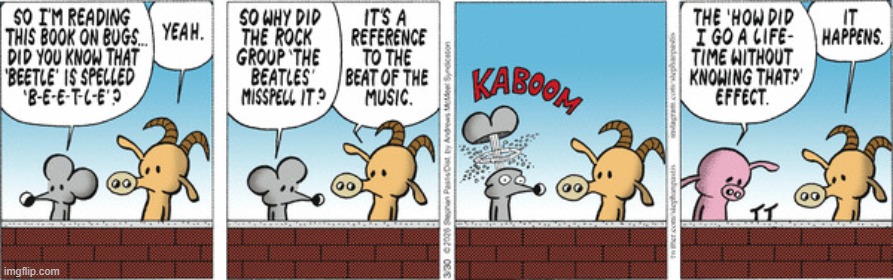 Pearls Before Swine | image tagged in comics | made w/ Imgflip meme maker