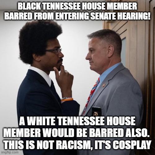 Democrats being irrational | black Tennessee house member barred from entering senate hearing! a white tennessee house member would be barred also.  this is not racism, it's cosplay | image tagged in democrats,politics | made w/ Imgflip meme maker