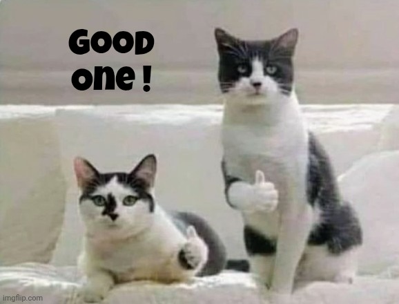 Thumbs up Cats | Good
One ! | image tagged in thumbs up cats | made w/ Imgflip meme maker