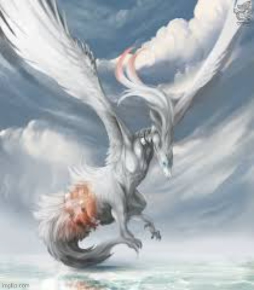 realistic reshiram | image tagged in realistic reshiram | made w/ Imgflip meme maker
