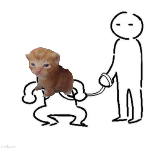 Gremlin child on leash | image tagged in gremlin child on leash | made w/ Imgflip meme maker