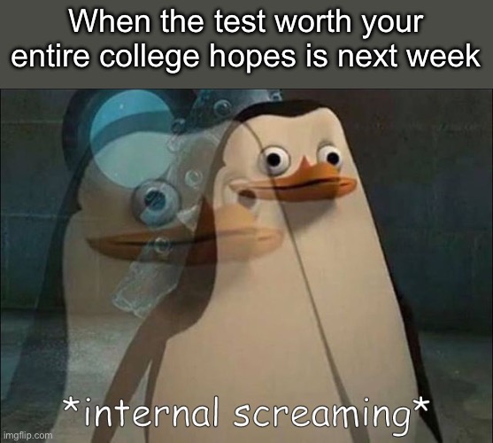 Thankfully I’m a sophomore but this is relatable for some people | When the test worth your entire college hopes is next week | image tagged in private internal screaming,memes,high school | made w/ Imgflip meme maker