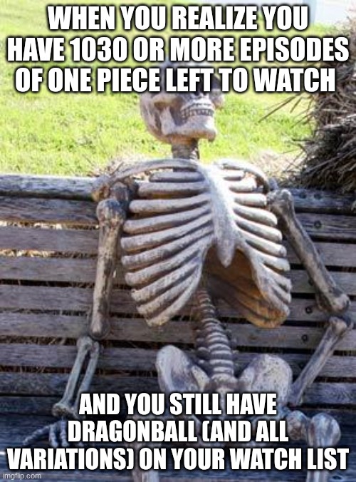 I'm to lazy for all this dude, I'm going to but this off for too long. | when you realize you have 1030 or more episodes of one piece left to watch; and you still have dragonball (and all variations) on your watch list | image tagged in memes,waiting skeleton,one piece,dragon ball | made w/ Imgflip meme maker