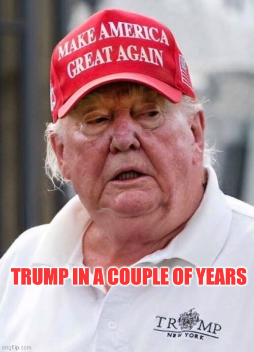 Old Trump | Trump in a couple of years | image tagged in donald trump old fat ugly geezer jpp | made w/ Imgflip meme maker