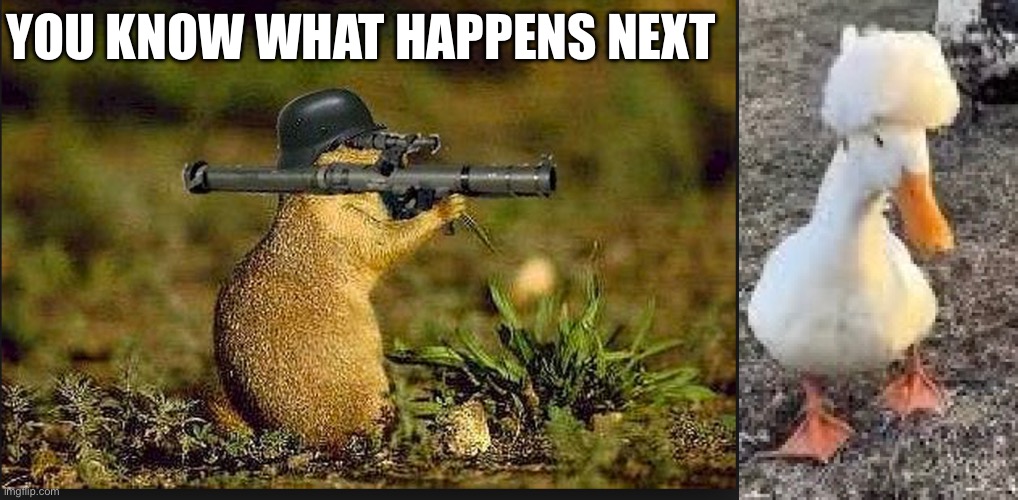 R.I.P. Granny Duck | You know what happens next | image tagged in rest in peace,duck,ducks,bazooka squirrel,granny,animals | made w/ Imgflip meme maker