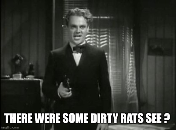 You Dirty Rat - Cagney | There were some dirty rats see ? | image tagged in you dirty rat - cagney | made w/ Imgflip meme maker