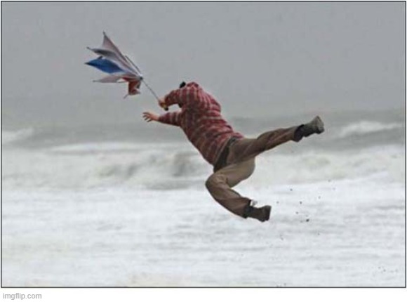It Looks A Bit Windy Out There ! | image tagged in windy | made w/ Imgflip meme maker