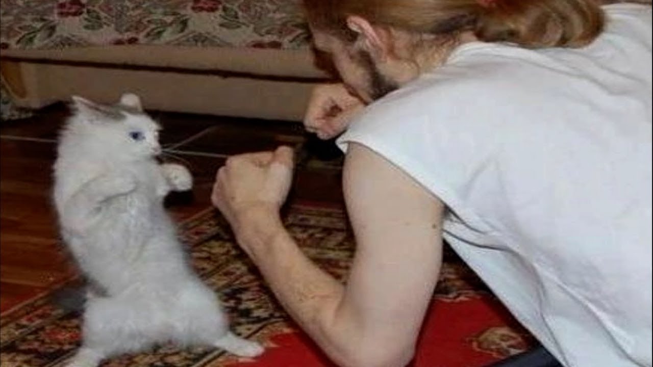 Cat fight guy Blank Meme Template