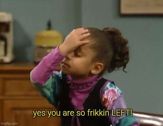 forehead slap | yes you are so frikkin LEFT! | image tagged in forehead slap | made w/ Imgflip meme maker