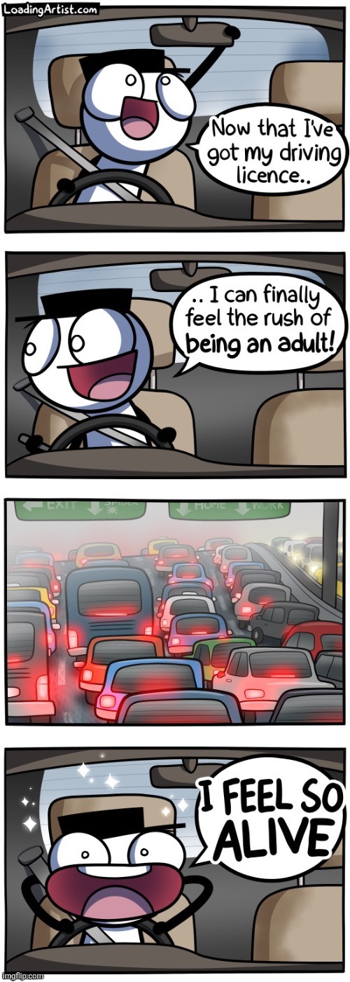 Driver's license | image tagged in driver's license,license,adult,loading artist,comics,comics/cartoons | made w/ Imgflip meme maker