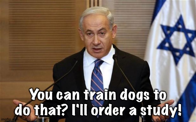 Benjamin Netanyahu | You can train dogs to do that? I'll order a study! | image tagged in benjamin netanyahu | made w/ Imgflip meme maker