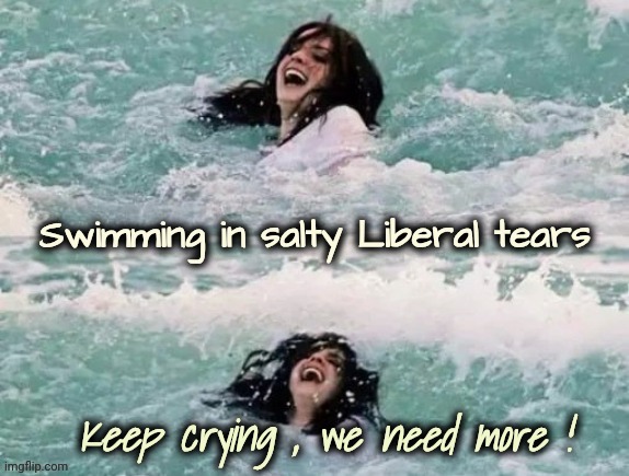 MAGA is fun | Keep crying , we need more ! | image tagged in maga is fun | made w/ Imgflip meme maker