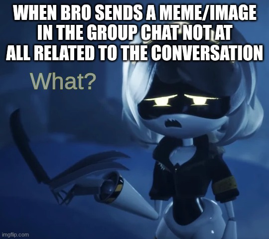 What? | when bro sends a meme/image in the group chat not at all related to the conversation | image tagged in what | made w/ Imgflip meme maker