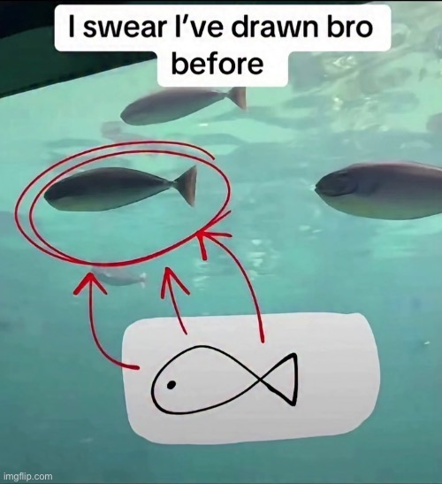 Fih | image tagged in img_6212 jpeg,fish | made w/ Imgflip meme maker