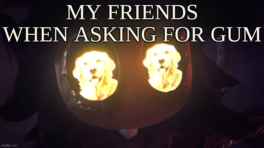 Doggy eyes :3 | my friends when asking for gum | image tagged in doggy eyes 3 | made w/ Imgflip meme maker