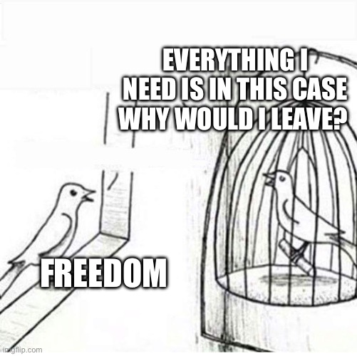 Bird in a cage | Everything I need is in this case why would I leave? Freedom | image tagged in bird in a cage | made w/ Imgflip meme maker