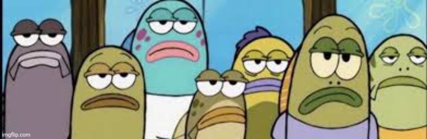 Not so Amused fish | image tagged in not so amused fish | made w/ Imgflip meme maker