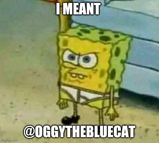Mad Spongebob | I meant @oggythebluecat | image tagged in mad spongebob | made w/ Imgflip meme maker