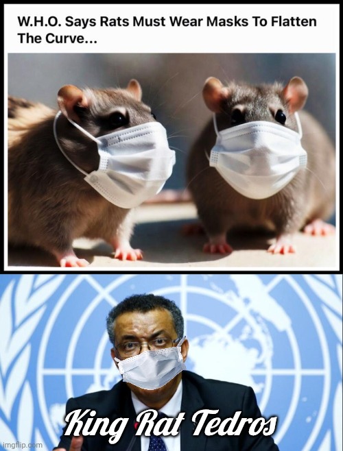 WHO says rats must wear masks | King Rat Tedros | image tagged in img 33 jpeg,tedros the bullshit artist,rugrats | made w/ Imgflip meme maker