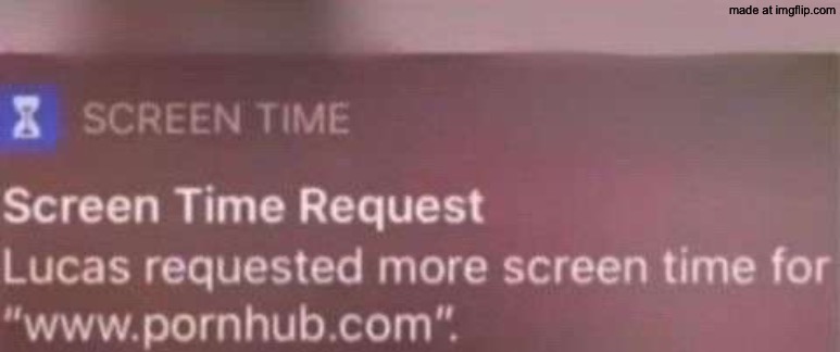 dongs in a request | image tagged in dongs | made w/ Imgflip meme maker
