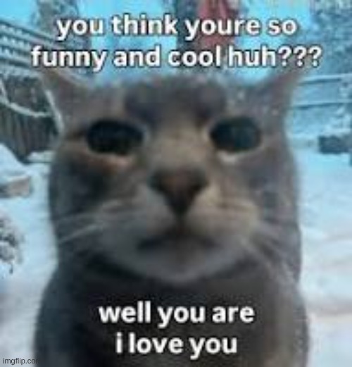 I cant stop posting | image tagged in funny and cool jpeg | made w/ Imgflip meme maker