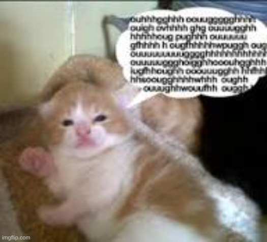 hiokierdnuiefncuwipovuwsiuv siopcn | image tagged in ksdjfh silaue fhsdilufueniqwudnyrewiuoryiu jpeg | made w/ Imgflip meme maker